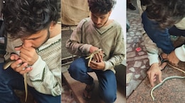 Video: Gujarat Man Saves Snake's Life By Performing CPR