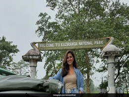 Explore The Wildlife Of Kaziranga In Assam With 6 Of Nimrat Kaur's "Painstakingly Chosen" Travel Tips Explore The Wildlife Of Kaziranga In Assam With 6 Of Nimrat Kaur's "Painstakingly Chosen" Travel Tips
