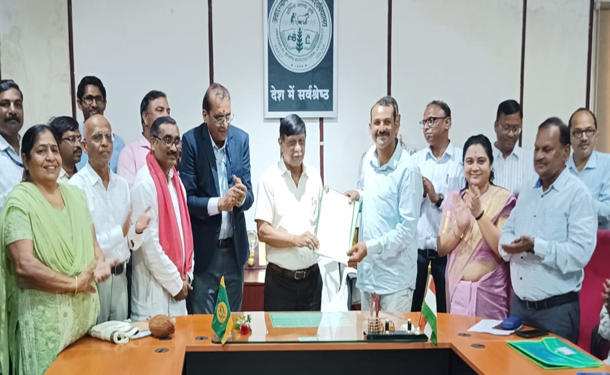 JNKVV Jabalpur: किसानों को मिल रहा है बीज पर पेटेंट, नई किस्मों पर रिसर्च जारी