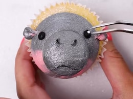 "You Even Made It Shiny" - Internet Is In Love With This Moo Deng-Themed Cupcake "You Even Made It Shiny" - Internet Is In Love With This Moo Deng-Themed Cupcake