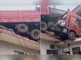 मैं करके फ्लाई आवां... घर की छत पर आया ऐसा बिन बुलाया मेहमान, देखने वालों के छूटे छक्के, बोले- आज ये है कल.. मैं करके फ्लाई आवां... घर की छत पर आया ऐसा बिन बुलाया मेहमान, देखने वालों के छूटे छक्के, बोले- आज ये है कल..