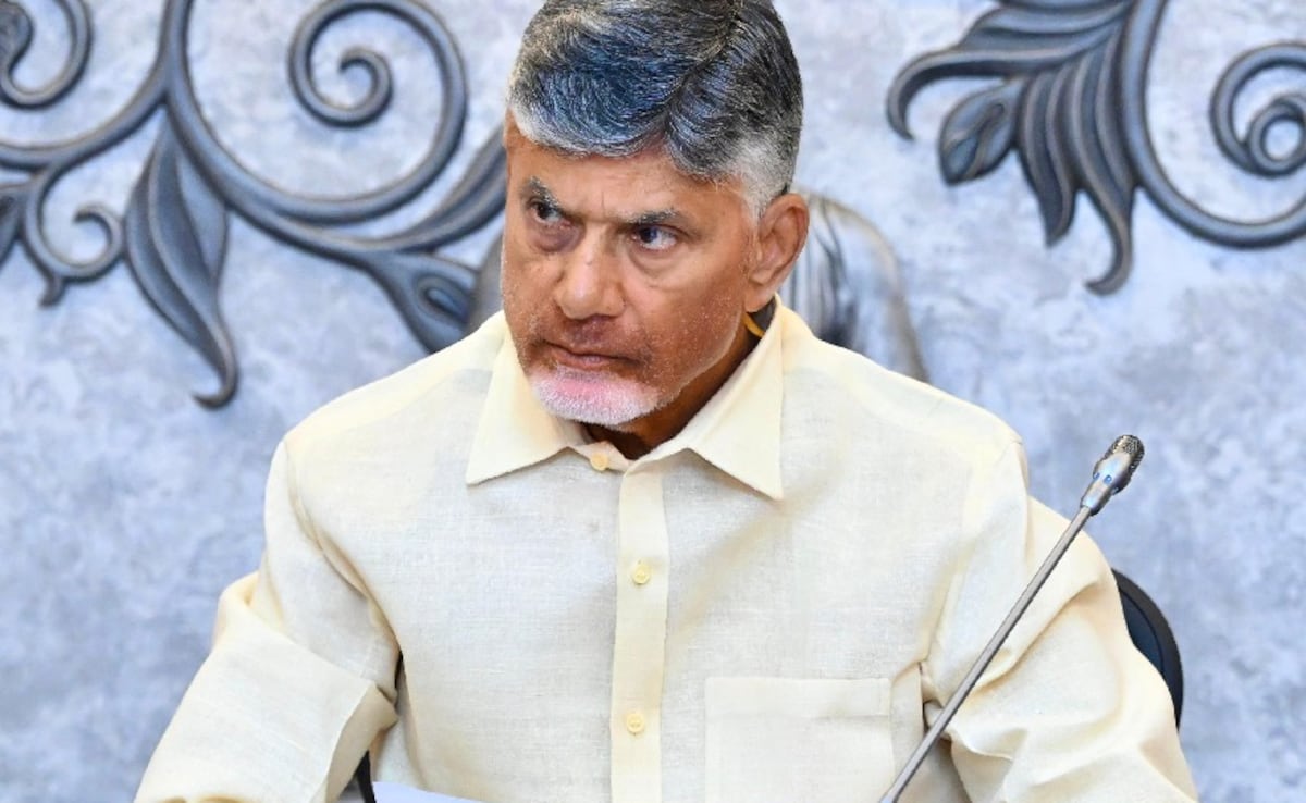 Andhra To Build 'Drone City', Policy In 15 Days: Chandrababu Naidu