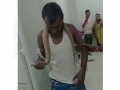 Video: Bitten By Snake, Man Walks Into Bihar Hospital With Reptile In Hand