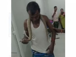Video: Bitten By Snake, Man Walks Into Bihar Hospital With Reptile In Hand