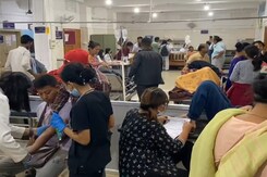 4 Die Of Dengue In Manipur, Nearly 1,400 Cases Detected So Far 4 Die Of Dengue In Manipur, Nearly 1,400 Cases Detected So Far