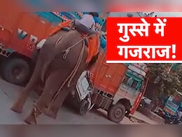 VIDEO: दशहरा जुलूस में शामिल हाथी हुआ बेकाबू, जमकर मचाया उत्पात; कई गाड़ियों को रौंदा