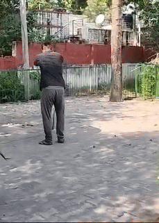 करौली में पुलिस एसपी के आवास में निकल गया 5 फीट सांप, मच गई अफरा-तफरी