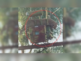 Leopard on Transformer: अरे ये क्या... ट्रांसफार्मर पर चढ़ गया तेंदुआ, गया था पक्षी का शिकार करने फिर... Leopard on Transformer: अरे ये क्या... ट्रांसफार्मर पर चढ़ गया तेंदुआ, गया था पक्षी का शिकार करने फिर...