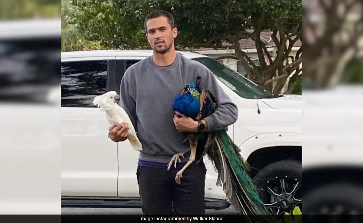 Meet Ananya Panday's Rumoured Boyfriend Walker Blanco - A Passionate Wildlife Lover And More