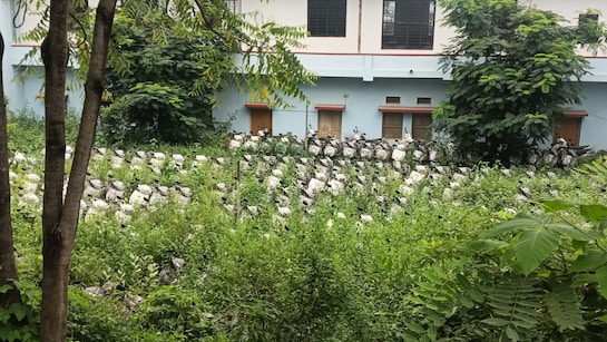 कब आएगा आदेश? राजस्थान में  कबाड़ बनी छात्राओं को दी जाने वाली हजारों स्कूटियां, मंत्री बोले- अब बंटवा देंगे