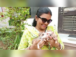 राजसमंद की रानी बाला 10 साल से निराश्रित जानवरों की कर रहीं हैं सेवा, अपने खर्चे पर 52 श्वानों की कराई नसबंदी