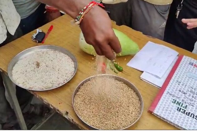 पोषाहार में इल्लियां और कीड़े पोषाहार में इल्लियां और कीड़े