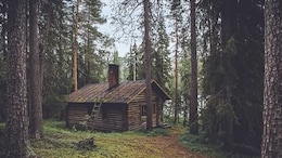 A Viral Optical Illusion Is Stumping The Internet: Can You Find The Hidden Bear?