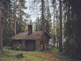 A Viral Optical Illusion Is Stumping The Internet: Can You Find The Hidden Bear? A Viral Optical Illusion Is Stumping The Internet: Can You Find The Hidden Bear?