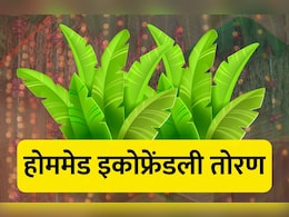 Diwali Decoration Ideas: केळीच्या पानापासून घरच्या घरी झटपट तयार करा तोरण Diwali Decoration Ideas: केळीच्या पानापासून घरच्या घरी झटपट तयार करा तोरण