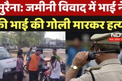 Morena Crime News: जमीन विवाद में भाई ने की भाई की गोली मार कर हत्या