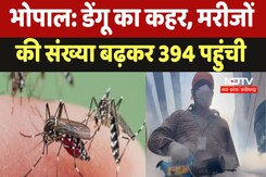 Bhopal : Dengue का कहर, मरीजों की संख्या बढ़कर 394 पहुंची Bhopal : Dengue का कहर, मरीजों की संख्या बढ़कर 394 पहुंची