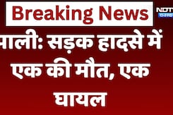 Pali Road Accident News: सड़क हादसे में एक की मौत, एक घायल