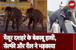 Mysuru के शाही दशहरे के हांथी सेल्फी और रील बनाने वालो से भड़के, इस बार लोग नही बना पाएंगे रील Mysuru के शाही दशहरे के हांथी सेल्फी और रील बनाने वालो से भड़के, इस बार लोग नही बना पाएंगे रील