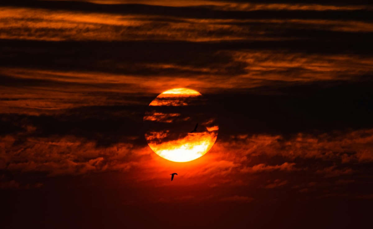 Latest and Breaking News on NDTV Latest and Breaking News on NDTV