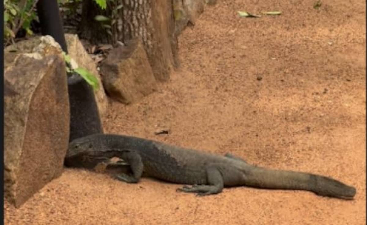 Latest and Breaking News on NDTV Latest and Breaking News on NDTV