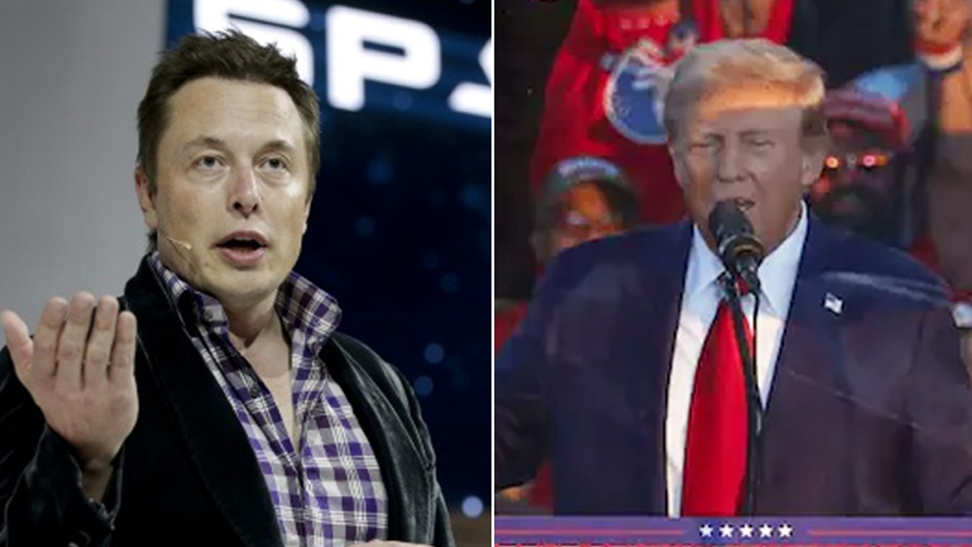 Elon Musk Joins Donald Trump On Stage