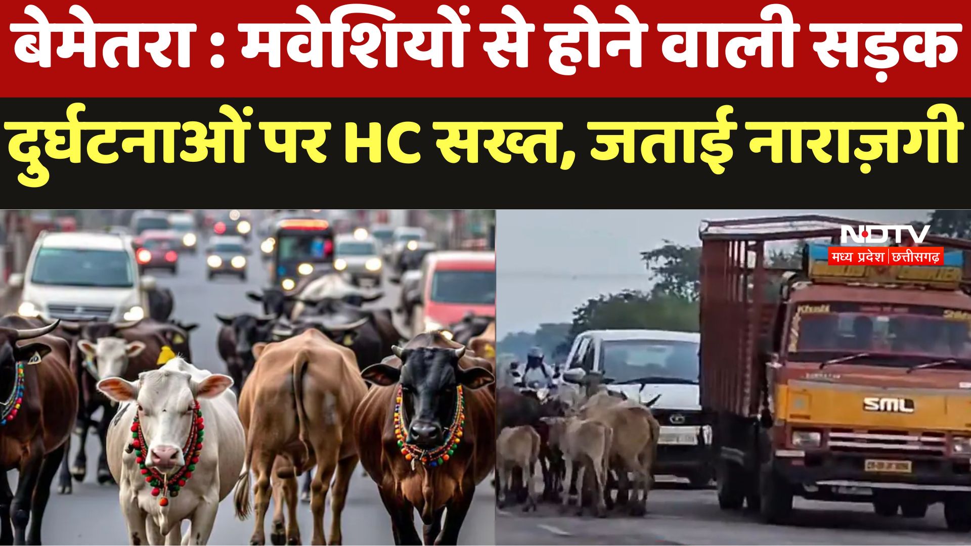 CG News : मवेशियों से होने वाली सड़क दुर्घटनाओं पर HC सख्त, जताई नाराज़गी