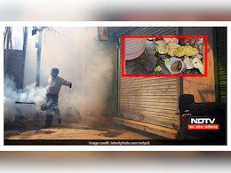 इंदौर में मच्छरों का कहर ! तेजी से बढ़ रहे डेंगू - चिकनगुनिया के मामले, कैसे बचें ? इंदौर में मच्छरों का कहर ! तेजी से बढ़ रहे डेंगू - चिकनगुनिया के मामले, कैसे बचें ?