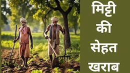 अलर्ट हो जाए पूरा छत्तीसगढ़ ! बीमार हो गई है 'धान के कटोरे' की मिट्टी, 80% तक घटा नाइट्रोजन