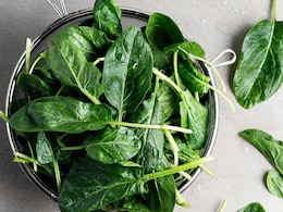 Nutritionist Highlights Benefits Of Leafy Green Spinach, Calls It A “Powerhouse” Nutritionist Highlights Benefits Of Leafy Green Spinach, Calls It A “Powerhouse”
