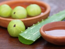 भर-भर के ना करें आंवले और इन विदाही चीजों का सेवन, शरीर में हो सकती आयरन की कमी, एक्सपर्ट ने बताया सही तरीका भर-भर के ना करें आंवले और इन विदाही चीजों का सेवन, शरीर में हो सकती आयरन की कमी, एक्सपर्ट ने बताया सही तरीका