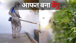 Dengue in MP: नहीं थम रहा डेंगू का जानलेवा कहर, 9 साल के इकलौते चिराग ने तोड़ा दम, अब तक हो चुकी है इतनी मौत