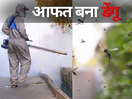 Dengue in MP: नहीं थम रहा डेंगू का जानलेवा कहर, 9 साल के इकलौते चिराग ने तोड़ा दम, अब तक हो चुकी है इतनी मौत Dengue in MP: नहीं थम रहा डेंगू का जानलेवा कहर, 9 साल के इकलौते चिराग ने तोड़ा दम, अब तक हो चुकी है इतनी मौत