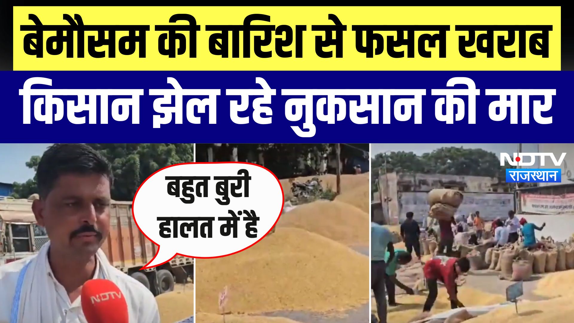 Kota में बेमौसम की बारिश से Soybean, Rice, Maize की फसल हुई खराब, Kisan झेल रहे नुकसान की मार