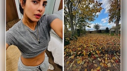 For A Cosy Autumn In London Like Priyanka Chopra's, Visit These 5 Places In The City