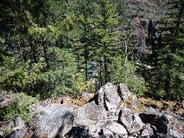 Man Survives 30-Day Ordeal In US Park On Mushrooms And Berries: "Felt Close To Death" Man Survives 30-Day Ordeal In US Park On Mushrooms And Berries: "Felt Close To Death"