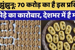 Chidawa Peda: 70 करोड़ का है इस प्रसिद्ध पेड़े का कारोबार, देशभर में होती है Online Delivery
