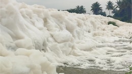 Toxic Foam Appears On Road Near Bengaluru After Heavy Rain
