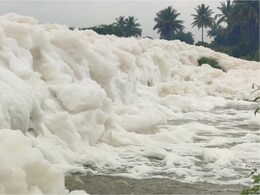 Toxic Foam Appears On Road Near Bengaluru After Heavy Rain
