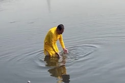 Yamuna | Delhi BJP President Takes A Dip In Toxic Yamuna In A Unique Protest Against Delhi Pollution Yamuna | Delhi BJP President Takes A Dip In Toxic Yamuna In A Unique Protest Against Delhi Pollution