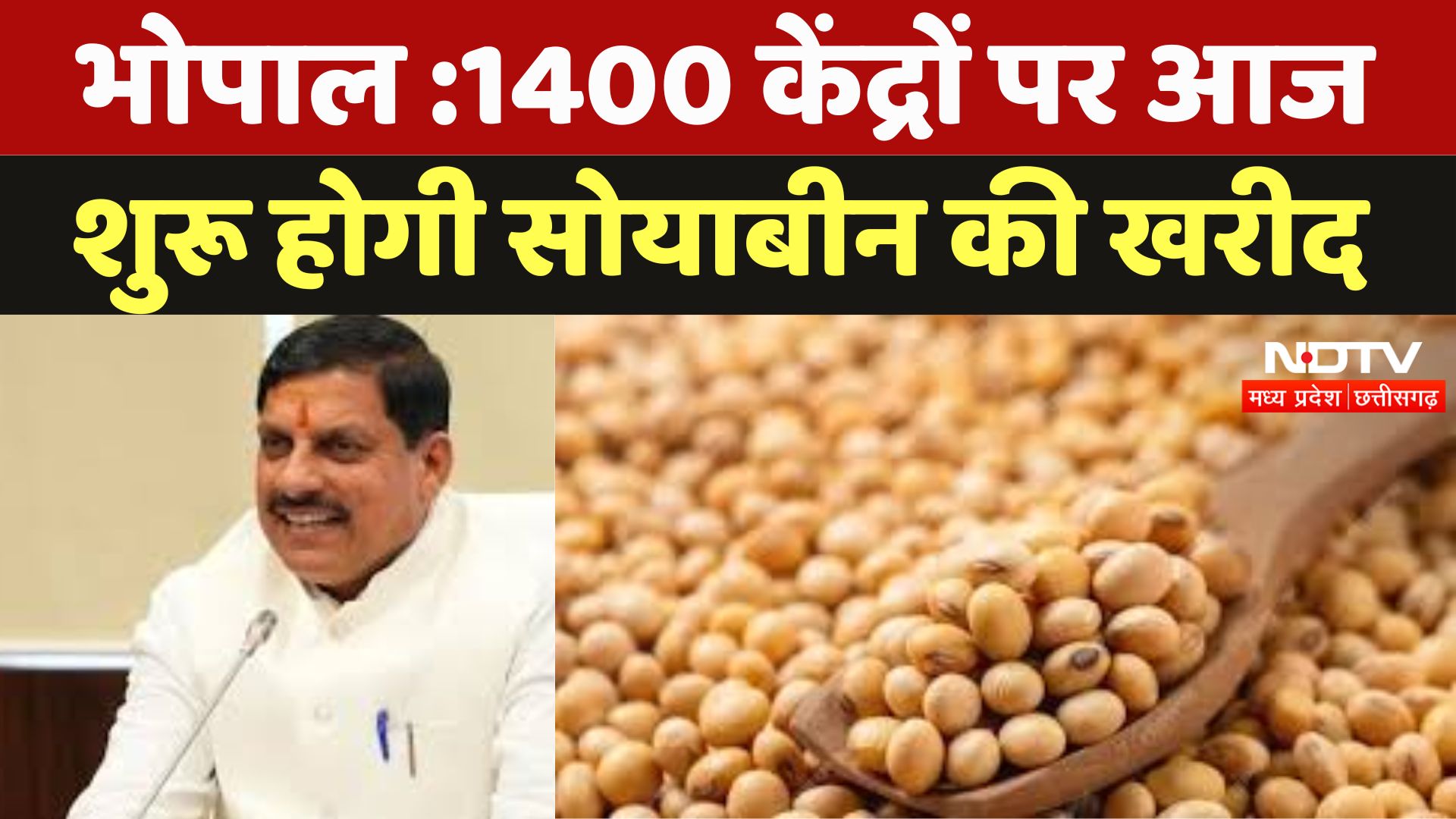Soybean Procurement on MSP : 1400 केंद्रों पर आज शुरू होगी सोयाबीन की खरीद