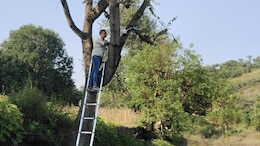 राजस्थान में लेपर्ड की होगी 24 घंटे मॉनिटरिंग, वन विभाग ने पहली बार जंगल में लगाया CCTV कैमरा