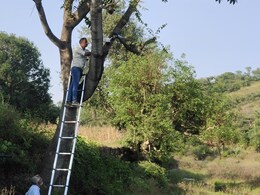 राजस्थान में लेपर्ड की होगी 24 घंटे मॉनिटरिंग, वन विभाग ने पहली बार जंगल में लगाया CCTV कैमरा राजस्थान में लेपर्ड की होगी 24 घंटे मॉनिटरिंग, वन विभाग ने पहली बार जंगल में लगाया CCTV कैमरा