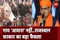 Rajasthan: Bhajanlal Sharma सरकार ने निकाला नया आदेश, अब गाय को नहीं कह पाएंगे 'आवारा Rajasthan: Bhajanlal Sharma सरकार ने निकाला नया आदेश, अब गाय को नहीं कह पाएंगे 'आवारा