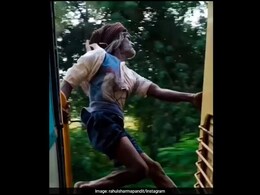 Video Of Elderly Man's Dangerous Stunt On Moving Train Shocks Internet Video Of Elderly Man's Dangerous Stunt On Moving Train Shocks Internet