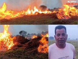एमपी के इस किसान ने अपनी ही सोयाबीन की फसल में लगा दी आग, जानिए- क्यों उठाया इतना बड़ा कदम