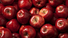 Delhi's Fruit Traders To Stop Apple Imports From Turkey Amid India-Pak Tensions