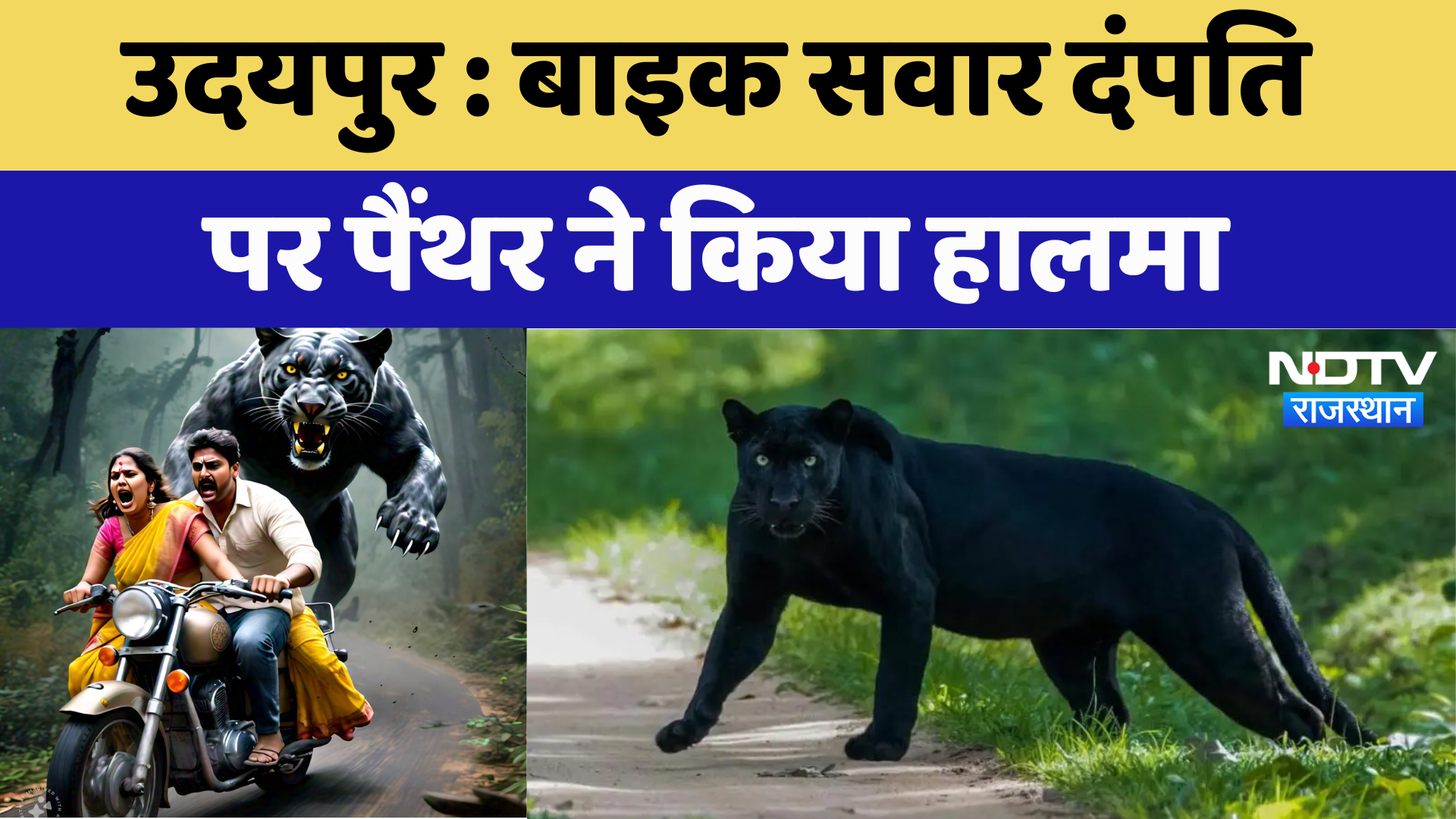Panther Attack: Bike सवार दंपति पर Panther ने किया हालमा  | Rajasthan News | Latest News