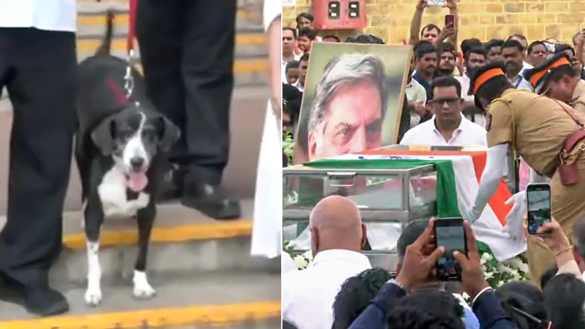 Ratan Tata Passes Away: रतन टाटा के अंतिम विदाई देने पहुंता 'Goa' | Shorts