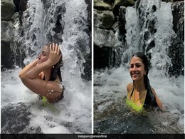 For A Forest Or Waterfall Holiday Like Nimrat Kaur, 5 Tips To Follow When On A Nature Trip For A Forest Or Waterfall Holiday Like Nimrat Kaur, 5 Tips To Follow When On A Nature Trip